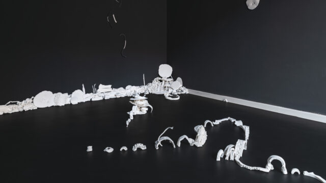 Susanne Petzold IN THE DARK PLACES im 3W1F Space Künstlerbund Dresden, Foto von Victoria Gentsch @materialmatters