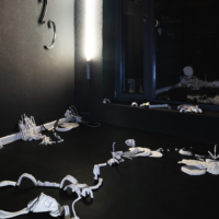 Susanne Petzold IN THE DARK PLACES im 3W1F Space Künstlerbund Dresden, Foto von Victoria Gentsch @materialmatters